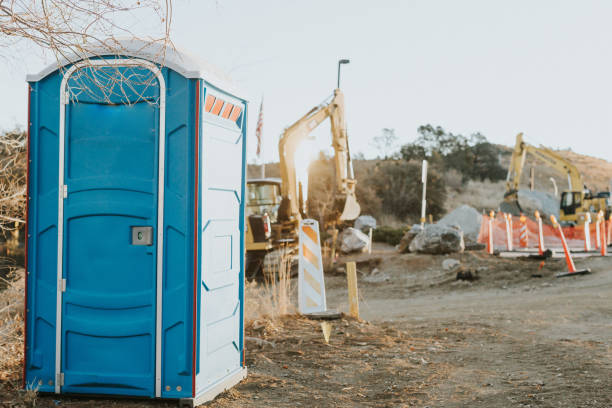 Best Sanitation services for porta potties  in Royalton, IL