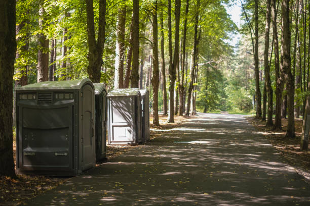 Best Affordable porta potty rental  in Royalton, IL